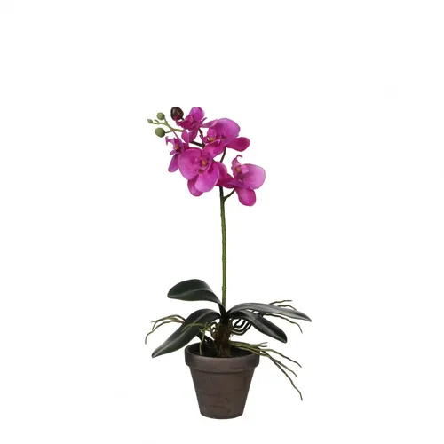 Umelá orchidea Phalaenopsis v kvetináči fuksiová ⌀ 11 až 13 × 48 cm