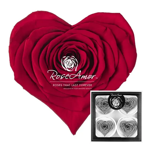 Stabilizovaná ruža v tvare srdca Corazon Bella ⌀ 7 cm, červená RED02