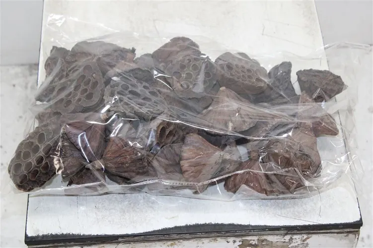 Dried Lotus D06/8cm X50