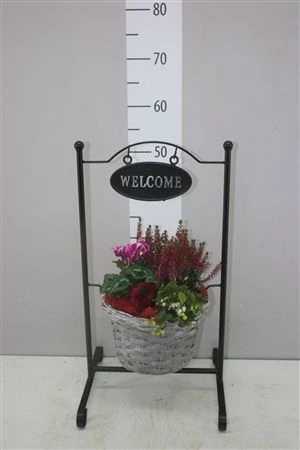 Arr Tuinplanten In Standaard Welcome črepník 30 cm