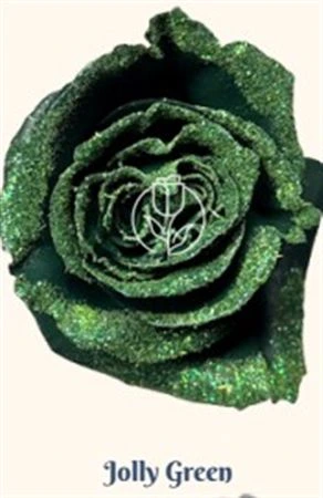 Ruža farbená Jolly Green, Ekvádor 50 cm