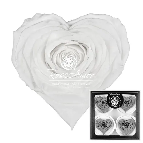 Stabilizovaná ruža v tvare srdca Corazon Bella ⌀ 7 cm, biela WHI01