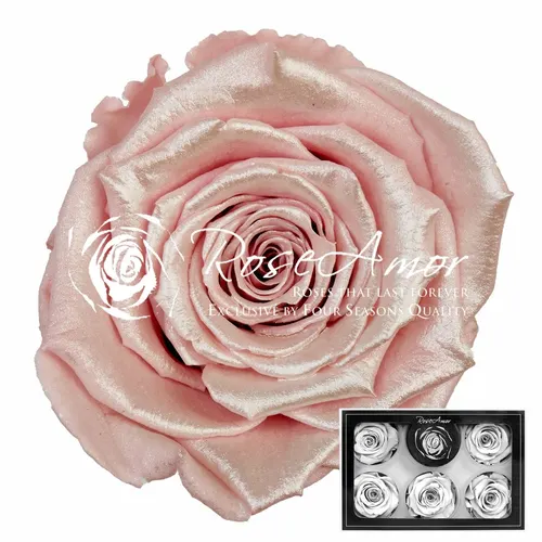Pres. Xl Satin Strawberry Pin04