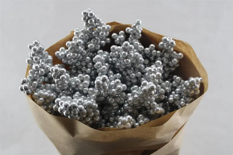 Ilex Silver X15, sušené 50 cm