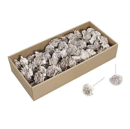 Sušený materiál Cedar rose/wire biela 10 cm