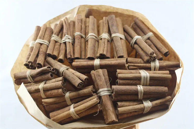 Cinamon X21, sušené 50 cm