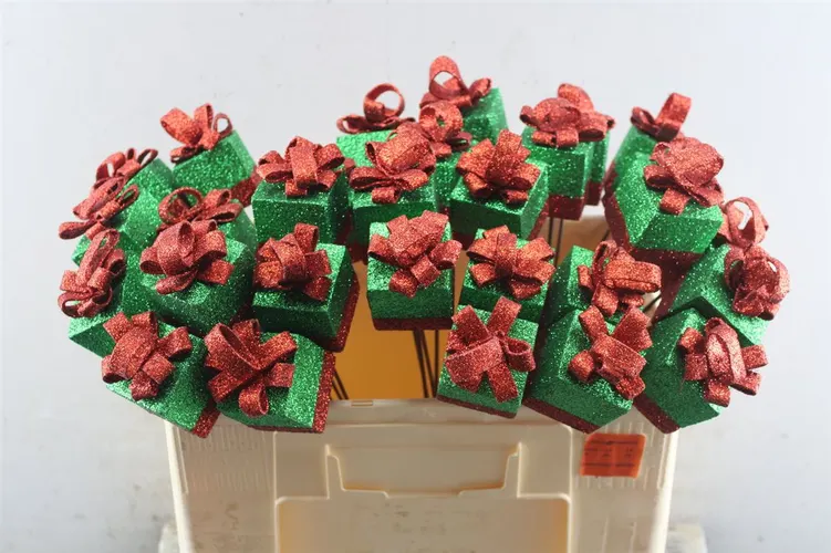 Kado Green-red, sušené 45 cm
