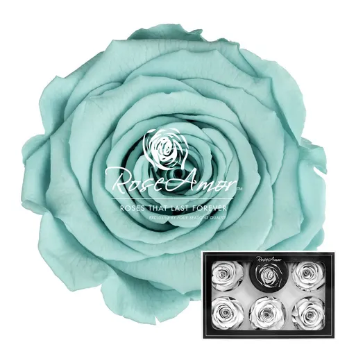 Stabilizovaná ruža XL ⌀ 6 cm, modrá BLU02