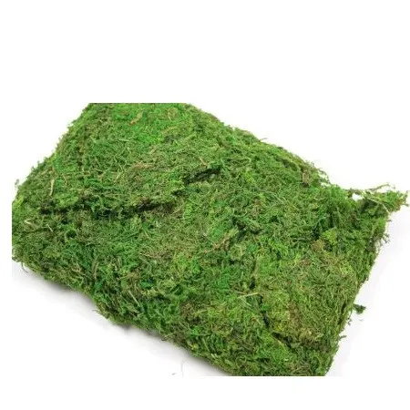 Sušený materiál mach zelená 250 g