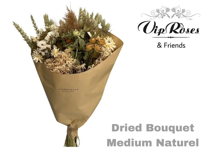 Bouquet Medium Naturel X10, sušené 50 cm
