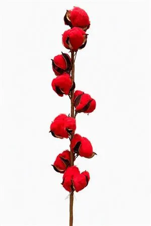 Cotton Dyed 9 Balls Red 60 cm