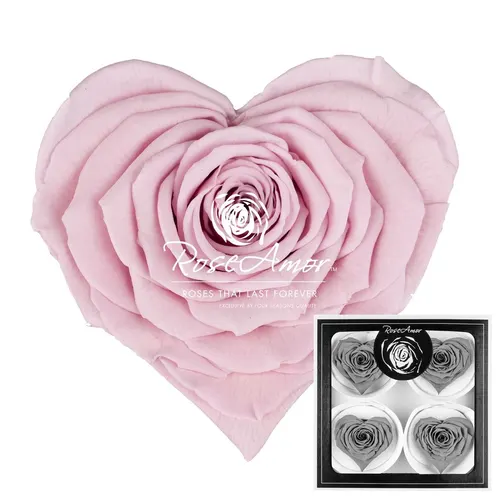 Stabilizovaná ruža v tvare srdca Corazon Bella ⌀ 7 cm, ružová PIN04