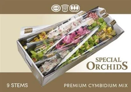 Cymb Tak Mix 60 cm