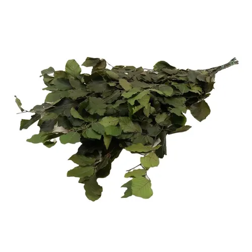 Stabilizovaný buk 80 cm, zelený, 150 g