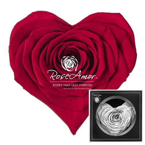 Stabilizovaná ruža v tvare srdca Corazon ⌀ 9 cm, červená RED02