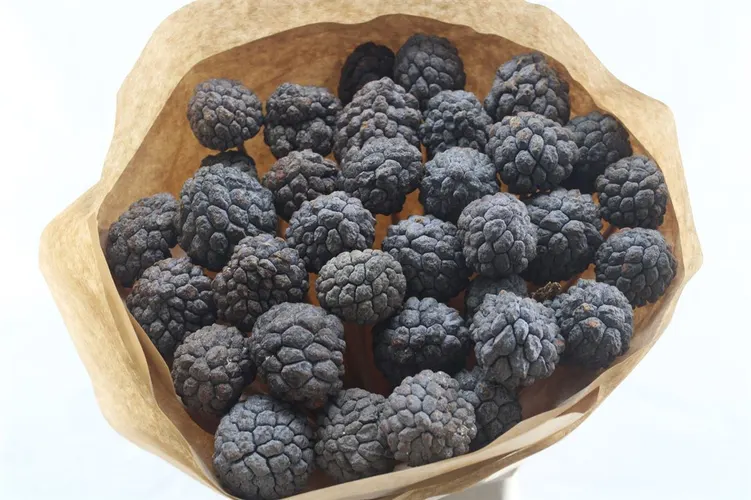 Sant Fruit X40, sušené
