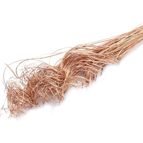 Sušený aranžérsky materiál (Dried Articles)