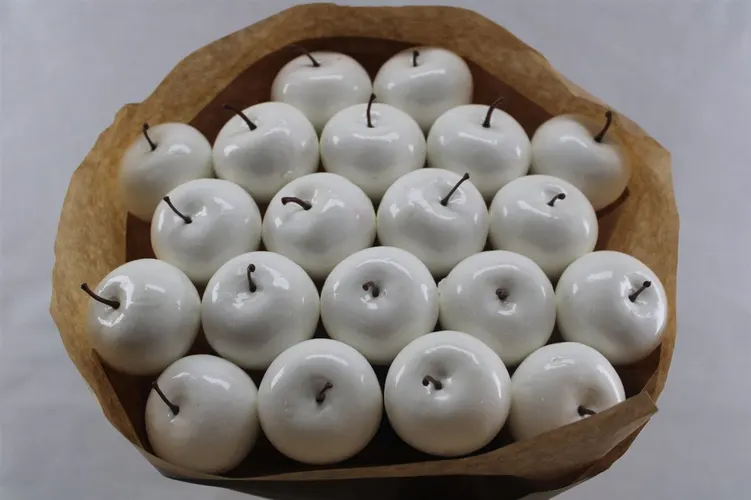 Appel White X20, sušené