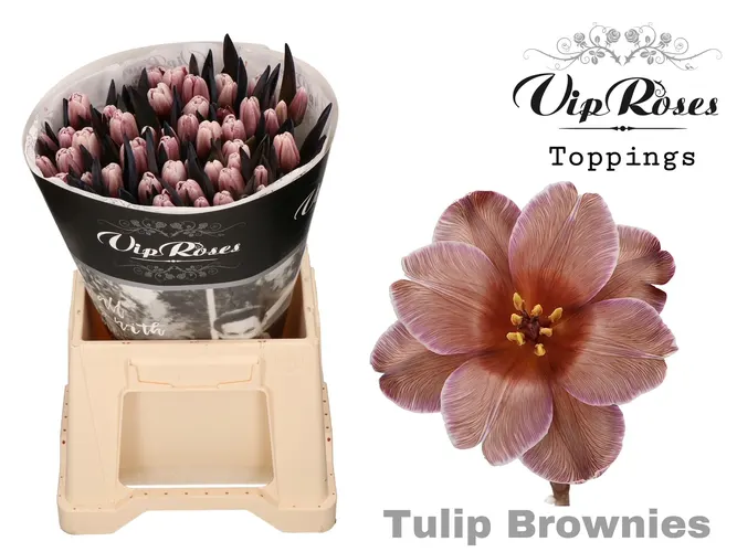 Tu En A Brownies 40 cm