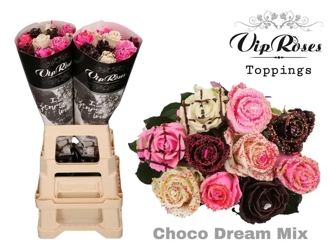 R Gr Choco Dream Mix X 20 70 cm