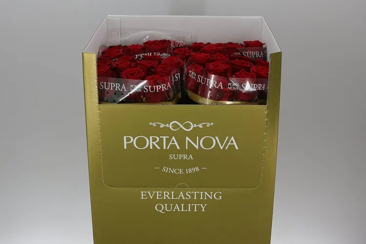 Ruža Red Naomi! Porta Supra 70 cm