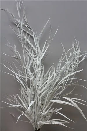 Grevilea White 80 cm