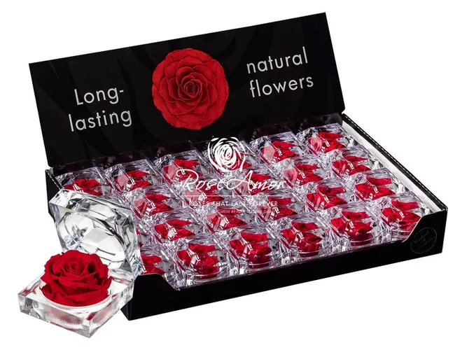 Pres. Display Jewel Red02