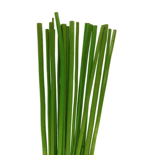 Sušený materiál Bamboostick zelená 100 cm