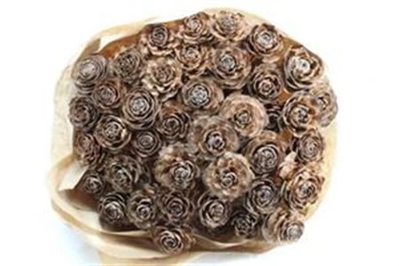 Cederroos Natuur X40, sušené 50 cm