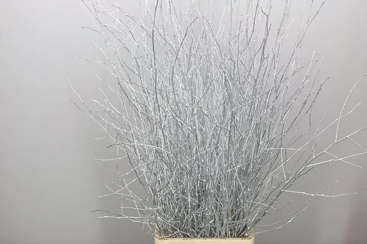 Berk Silver 120 cm