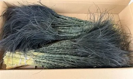 Stypha Black 60 cm