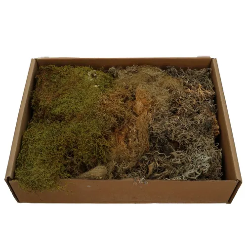 Sušený materiál mach mix 650 g