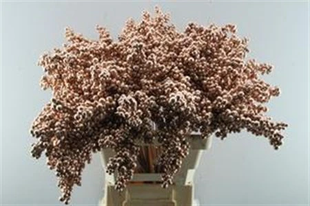 Peper Bes An Stick Copper 60 cm