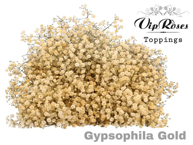 Gypsofily farbené (špeciál)