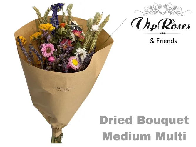 Bouquet Medium Multi X10, sušené 50 cm