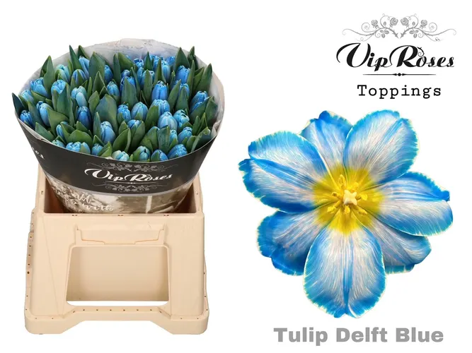 Tu En A Delft Blue 40 cm