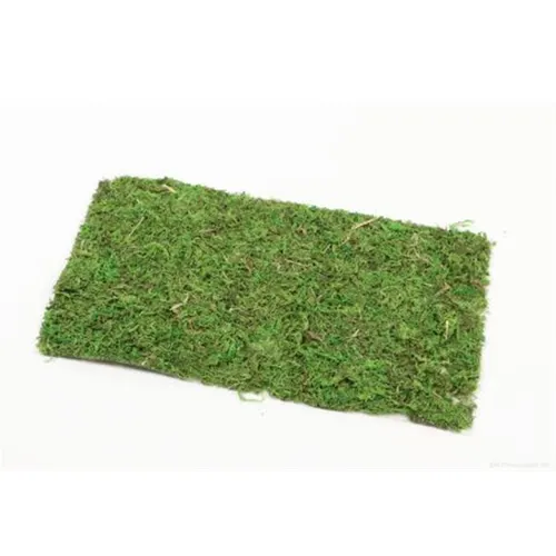 Sušený materiál mach hárok zelená 30 × 18 cm
