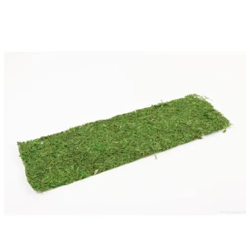 Sušený materiál mach hárok zelená 58 × 18 cm