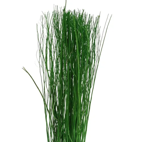 Sušený materiál Yanagi vetva zelená 85 cm