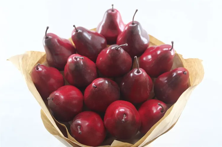 Pear Red X15, sušené 50 cm