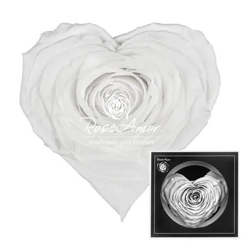 Stabilizovaná ruža v tvare srdca Corazon ⌀ 9 cm, biela WHI01