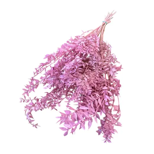 Sušený ruscus ružový 65 cm, 110 g