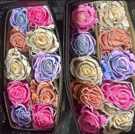 Ruža farbená Rainbow Velvet, Ekvádor 50 cm