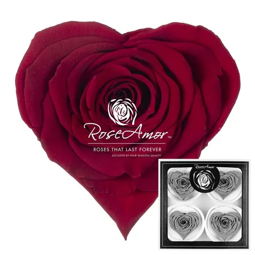 Stabilizovaná ruža v tvare srdca Corazon Bella ⌀ 7 cm, červená RED01
