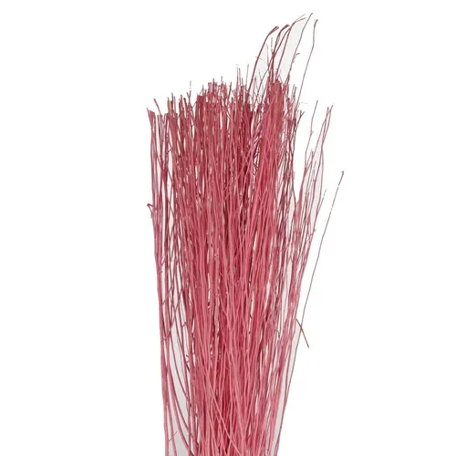 Sušený materiál Yanagi vetva ružová 85 cm