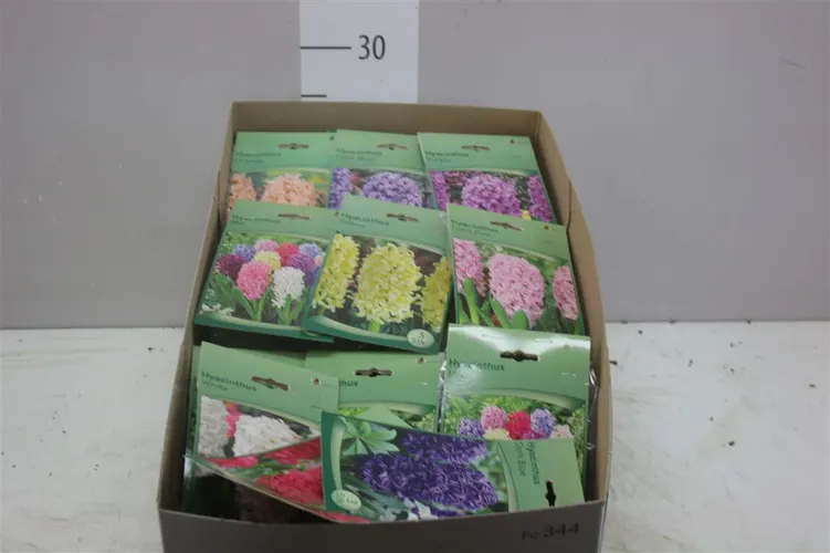 Droge Bloembol Hyacinthus Mix