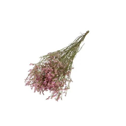 Sušený kvet Limonium Diamond ružová 70 cm