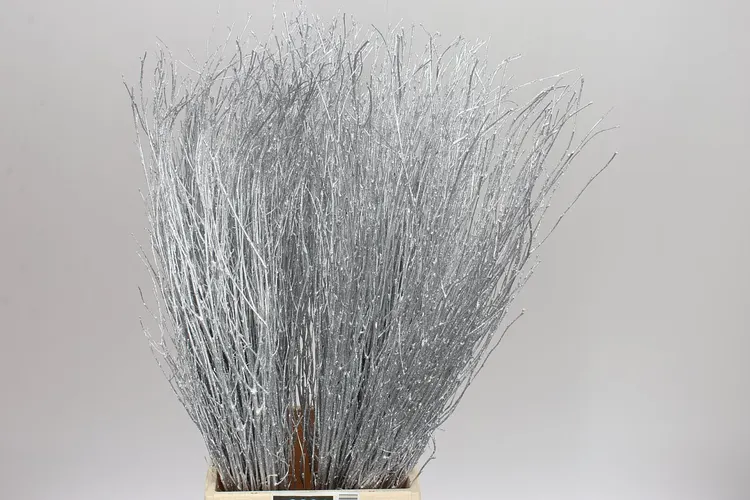 Breza Silver Glitter 70 cm