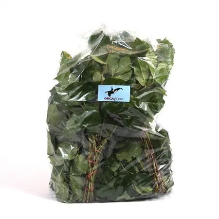 Salal Baby Vacuum X5 35 cm
