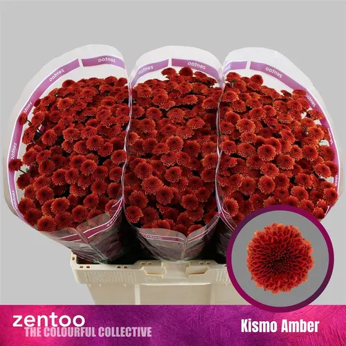 Sant Kismo Amber 55 cm